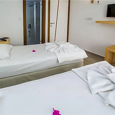 Hotel Defne *